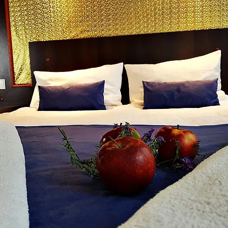 بيت ضيافة Czarny Kos 3*