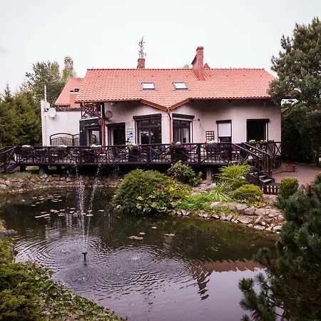 بيت ضيافة Czarny Kos بوركوفو