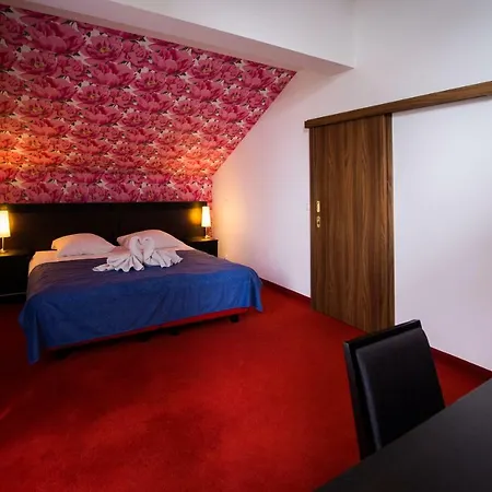 Czarny Kos بيت ضيافة 3*