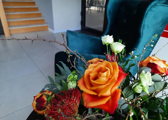 Czarny Kos 3* Borkowo (Kartuzy)