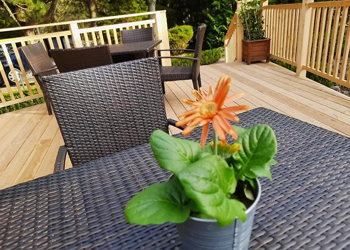 Pensionat Czarny Kos 3*