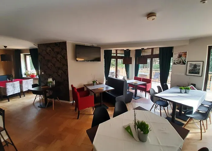 Czarny Kos Pensionat Borkowo (Kartuzy)