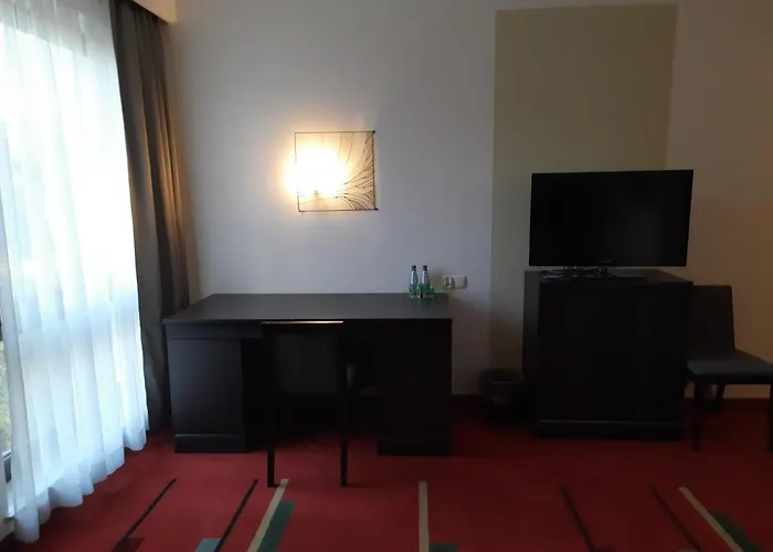 Czarny Kos Borkowo (Kartuzy)