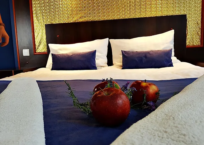 Pensionat Czarny Kos 3*