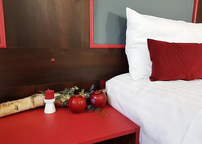 Czarny Kos 3* Borkowo (Kartuzy)