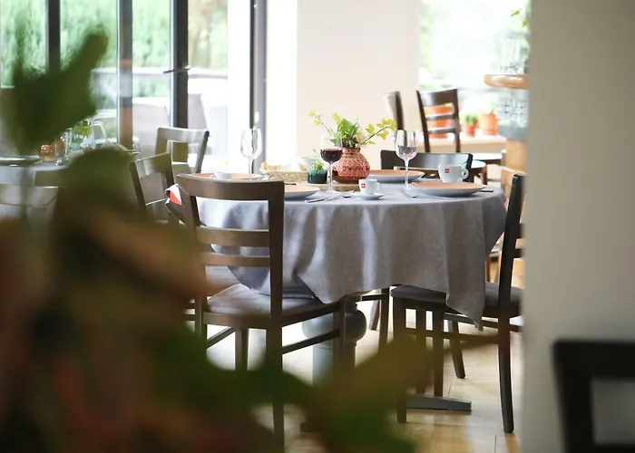 Czarny Kos 3* Borkowo (Kartuzy)