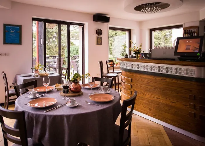 Czarny Kos Pensionat Borkowo (Kartuzy)