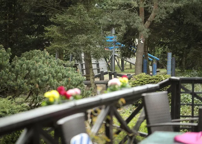 Czarny Kos Pensionat Borkowo (Kartuzy)