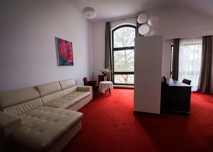 Pensionat Czarny Kos Borkowo (Kartuzy)