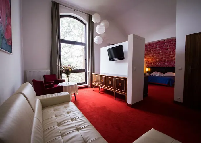 Czarny Kos Pensionat Borkowo (Kartuzy)