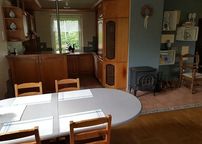 Czarny Kos Pensionat Borkowo (Kartuzy)